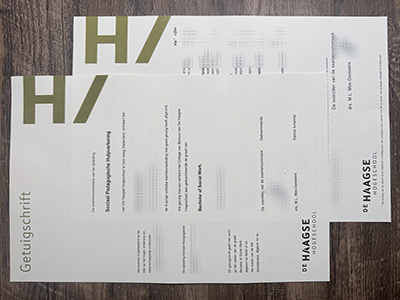 get Haagse Hogeschool diploma