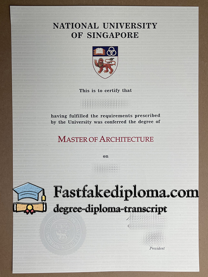 Where to get Nationl University of Singapore diploma?