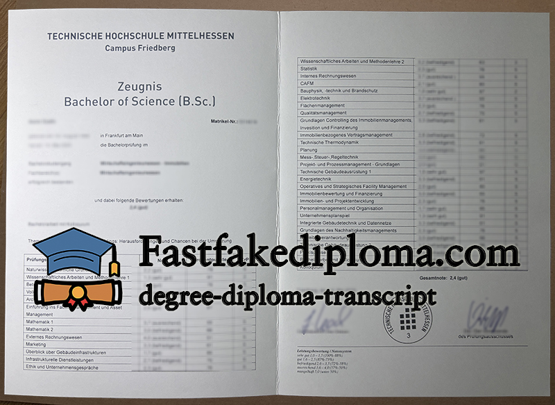 get Technische Hochschule Mittelhessen transcript
