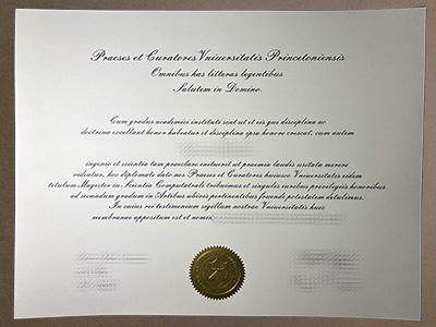 Make Princeton University diploma