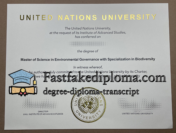 get United Nations University diploma,