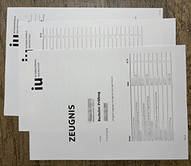 IU Internationale Hochschule degree