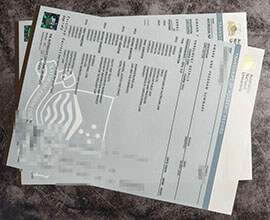 purchase realistic Australian National University Transcript