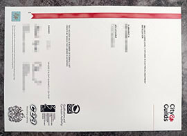 purchase realistic City & Guilds NVQ Level 3 Diploma