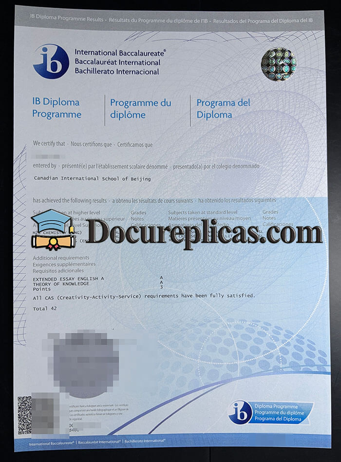 purchase realistic International Baccalaureate