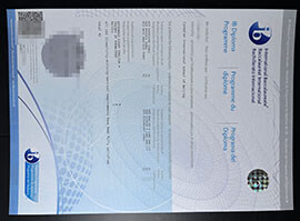 purchase realistic International Baccalaureate