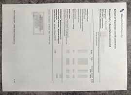 purchase realistic Maastricht University Transcript