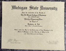 purchase realistic Michigan State University degree