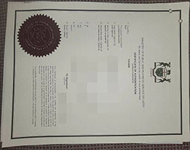 purchase realistic Ministry of Public and Business Service Delivery certificate