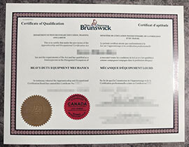 purchase realistic New Brunswick Certificate of Qualification