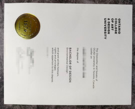 purchase realistic Ontario College of Art & Design University degree