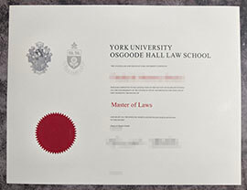 purchase realistic Osgoode Hall Law School degree