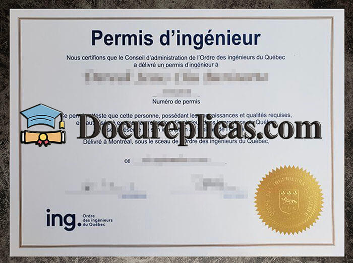 purchase realistic Permis D'Ingenieur certificate