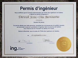 purchase realistic Permis D'Ingenieur certificate