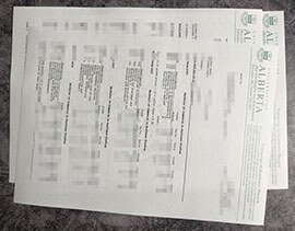 purchase realistic University of Alberta Transcript