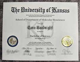 purchase realistic University of Kansas degree