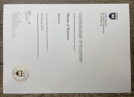 purchase realistic University of Wollongong Australia degree
