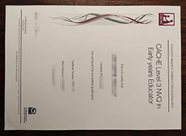 purchase realistic CACHE Level 3 NVQ in Early years Educator certificate