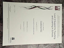 purchase realistic CACHE Level 3 Support for Teaching and Learning in Schools certificate