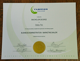 purchase realistic Camosun College degree