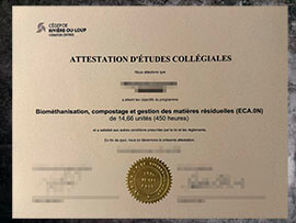 purchase realistic Cegep de Riviere du Loup degree