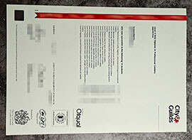 purchase realistic City & Guilds Level 4 NVQ Diploma