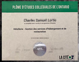 purchase realistic Collège La Cité diploma