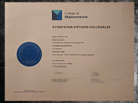 purchase realistic College de Maisonneuve degree