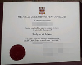 purchase realistic Memorial University of Newfoundland degree