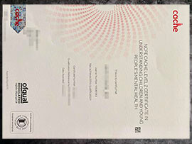 purchase realistic NCFE CACHE Level 2 Certificate
