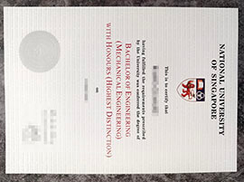 purchase realistic National University of Singapore degree