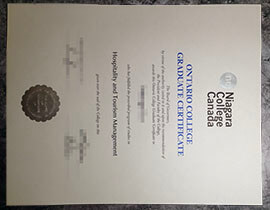 purchase realistic Niagara College degree