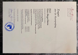 purchase realistic Robert Schumann Hochschule Düsseldorf Transcript