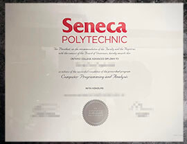 purchase realistic Seneca Polytechnic degree