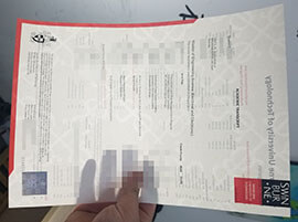purchase realistic Swinburne University of Technology Transcript