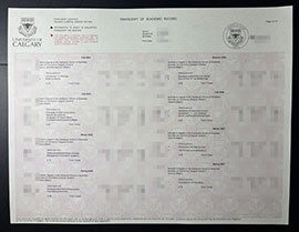 purchase realistic University of Calgary Transcript
