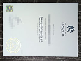 purchase realistic University of Newcastle degree
