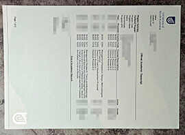 purchase realistic University of South Australia Transcript