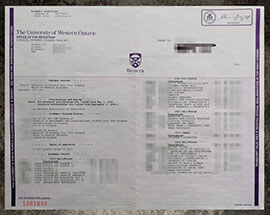 purchase realistic University of Western Ontario Transcript