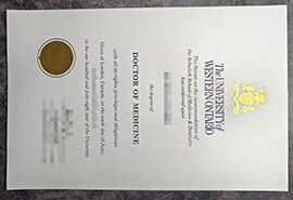 purchase realistic University of Western Ontario degree