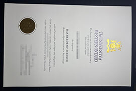 purchase realistic University of Western Ontario degree