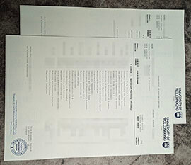 purchase realistic University of Wollongong Transcript