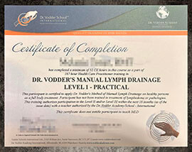 purchase realistic Vodder School International certificate