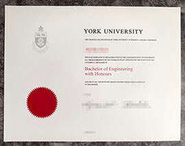 purchase realistic York University degree