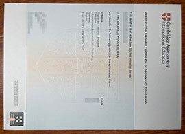 purchase realistic Cambridge Assessment IGCSE certificate