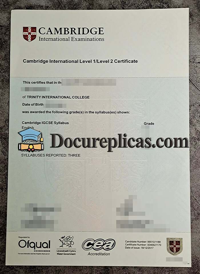 purchase realistic Cambridge International Level 1 Certificate