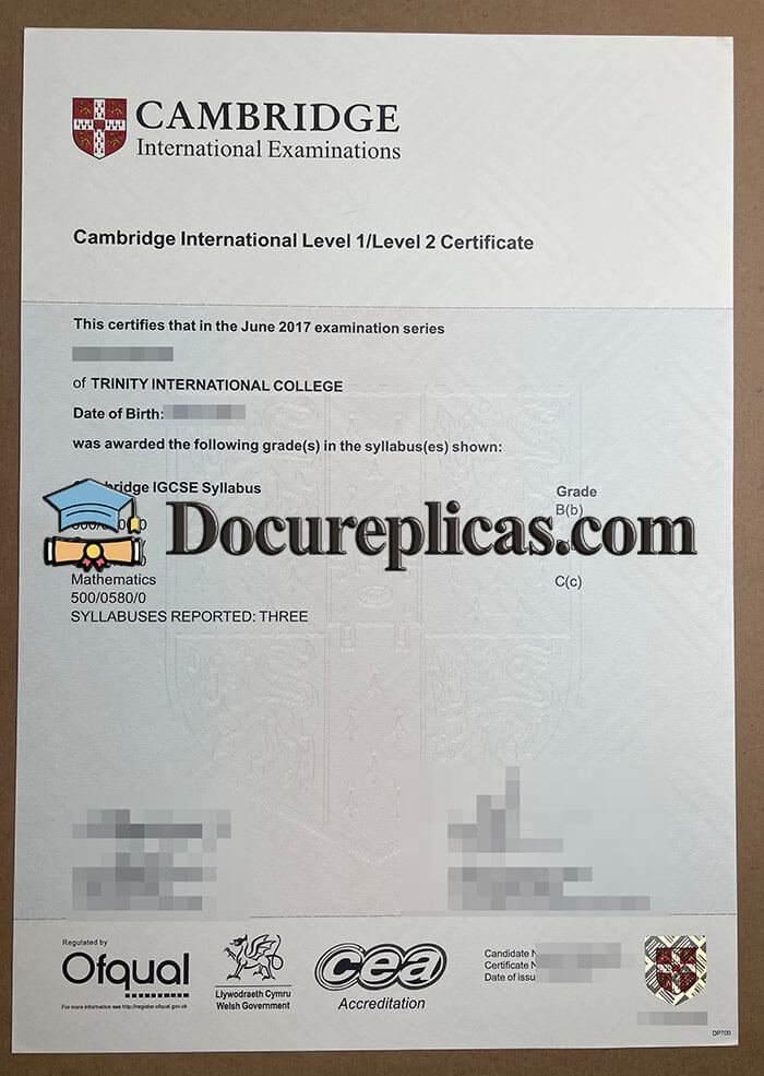 purchase realistic Cambridge International Level 1 Certificate