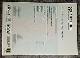 purchase realistic Cambridge International Level 1 Certificate