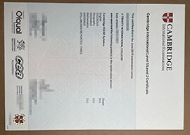 purchase realistic Cambridge International Level 1 Certificate