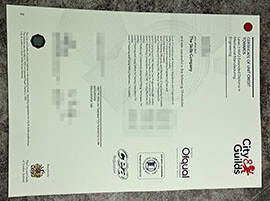 purchase realistic City & Guilds Certificate of Unit Credit Towards Level 3 NVQ Extended Diploma